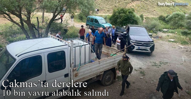 Çakmas'ta derelere 10 bin yavru alabalık salındı